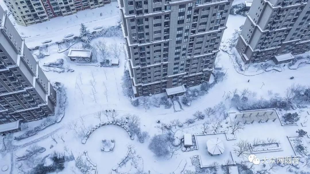 雪景|烟台终于下雪了！（附烟台绝美冰雪图）