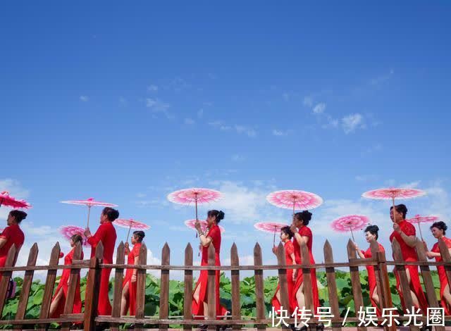 白云湖街道|济南白云湖生态优先绘美景