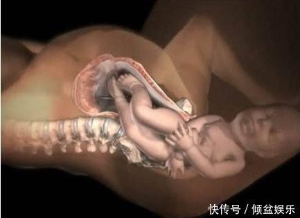 我是谁|女性分娩疼的“要死要活”时，胎宝啥感受，看完你可要忍住别笑