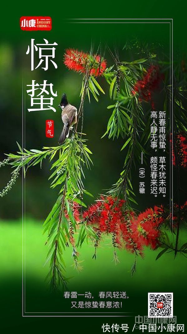 翠竹亭亭!万物有时 岁月成诗:打开二十四节气的另一种方式