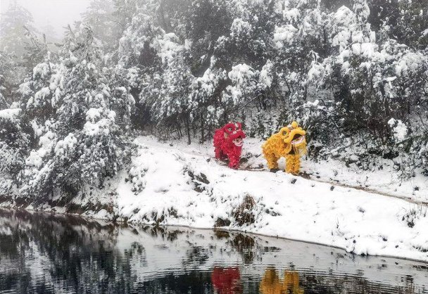 北京冬奥会|氛围感拉满！嵊州上演一场雪中舞狮大戏，助力北京冬奥会