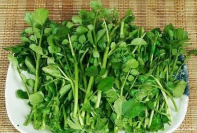 大肚腩|想肌肤变好，夏天吃的好东西，排出湿气，轻松瘦掉大肚腩，气色好