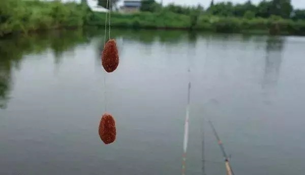 钓手|白纸黑字的爆护配方,秋季钓土鲫鱼不失手,老钓手的钓鱼秘笈