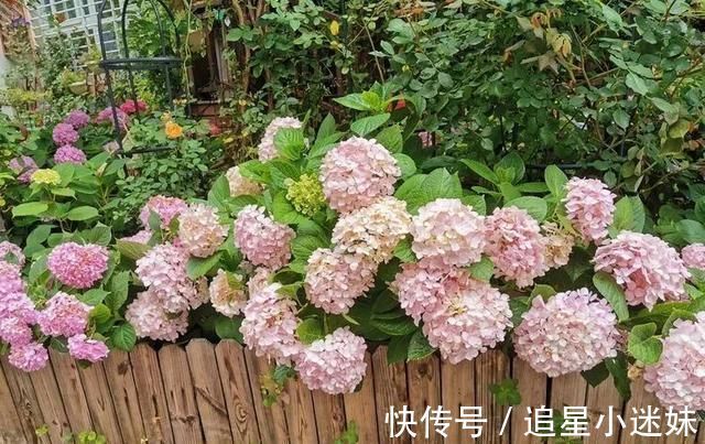 有了30平方的小院,能将日子过成了诗简单而精致,优雅而从容