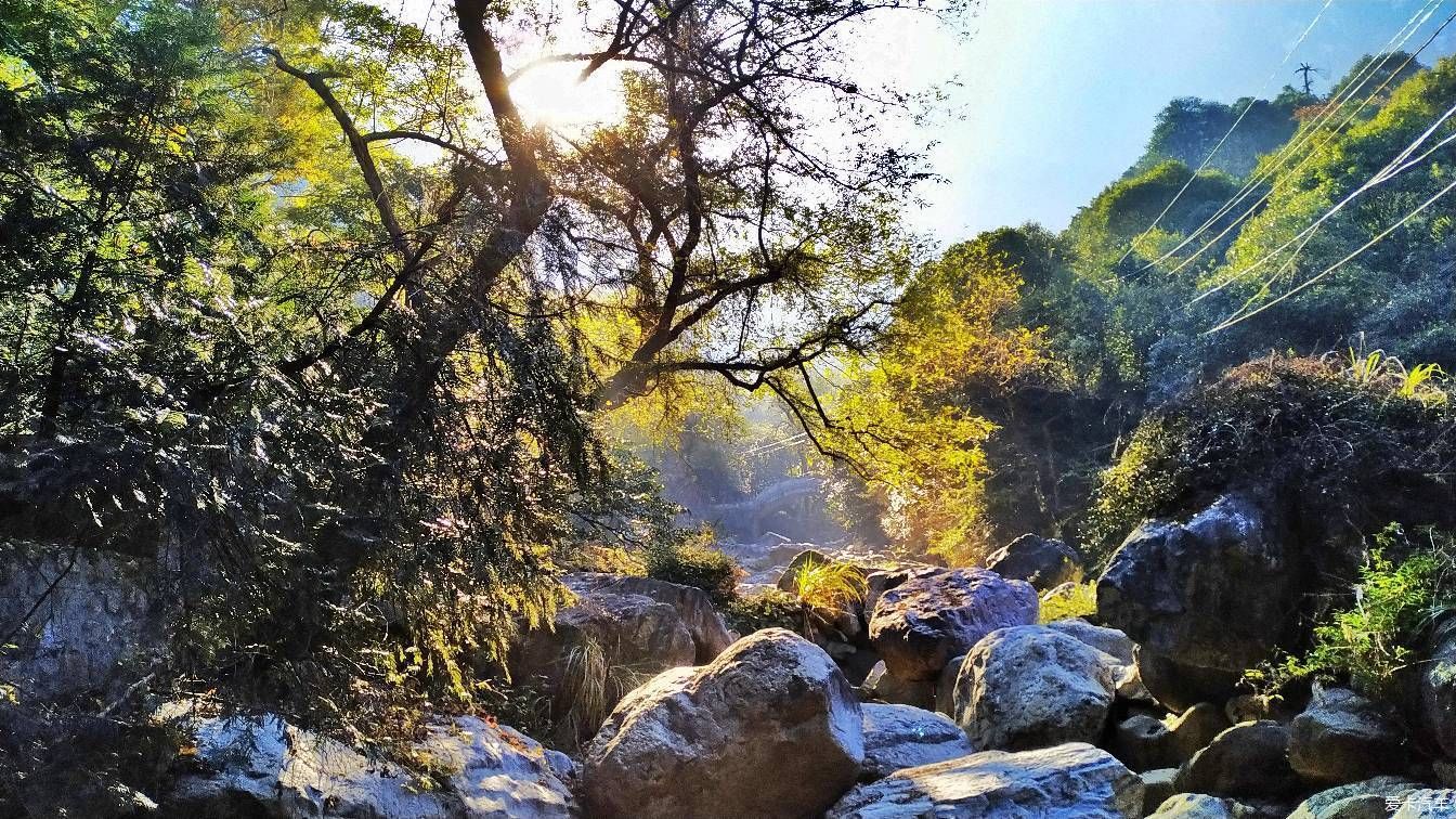 龙泉精舍|【熊迹】赏秋之旅秋色庐山，梦幻瑶里