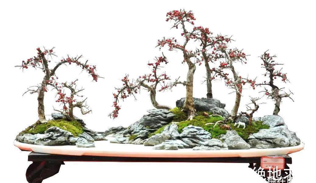 树石盆景:在堤岸坡脚处留出一条透水的缝隙,可享浇水无忧!