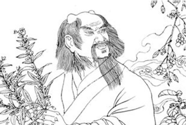 证明|炎帝的根在哪里?考古学家:水稻和古城的发现,证明或是发源于此