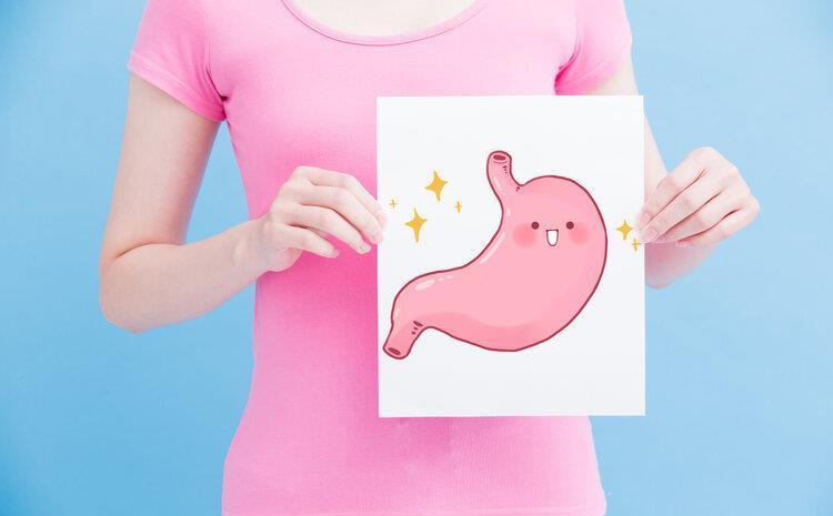 角度|一个人的胃真会被越撑越大，越饿越小吗？从科学的角度来给你答案