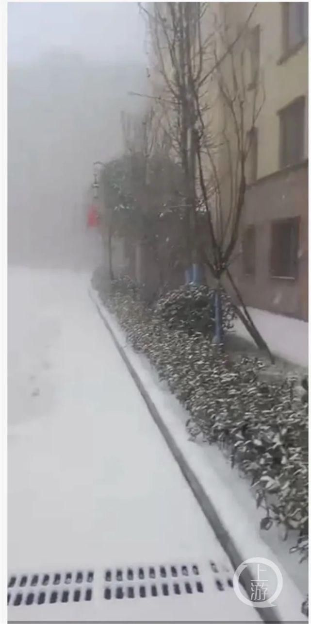 道路结冰|巫山迎来今冬第一场雪，这些地方也开始雪花飘飘