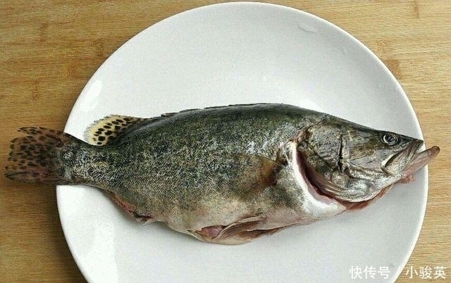 此鱼我国独有,人称“鱼中上品”,新鲜的没人吃,放臭后才是美味