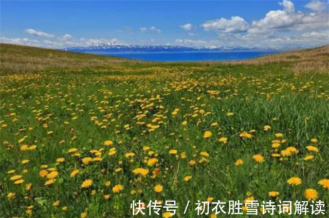 登高！唐诗乐游原重阳节登高四首：秋原骑马菊花高，五陵无树起秋风