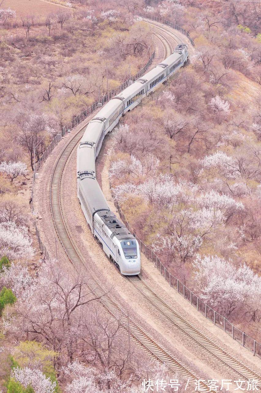 小火车|再过30天,世界又要被惊艳了!因为,中国的春天到了