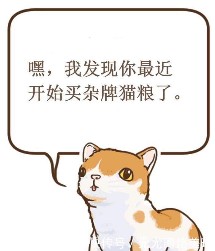 出牌|12, 张不按套路出牌的漫画，猫就是拿枪怼着你也很可爱