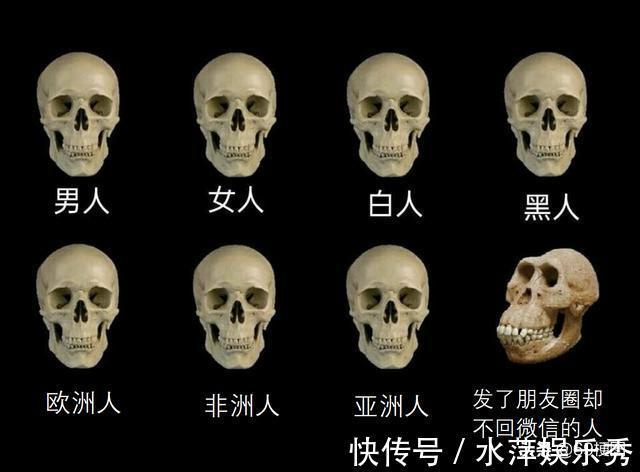 梗图|梗图合集:史塔克先生,这太酷了,而且我很舒服