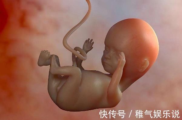 发育|胎宝待在妈妈肚子里10个月,但只在这3周发育智力,孕妈别错过
