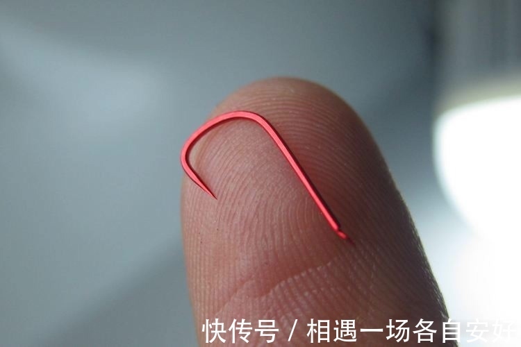 用袖钩钓鱼总跑鱼不了解袖钩的用途，鱼口再好也难入篓