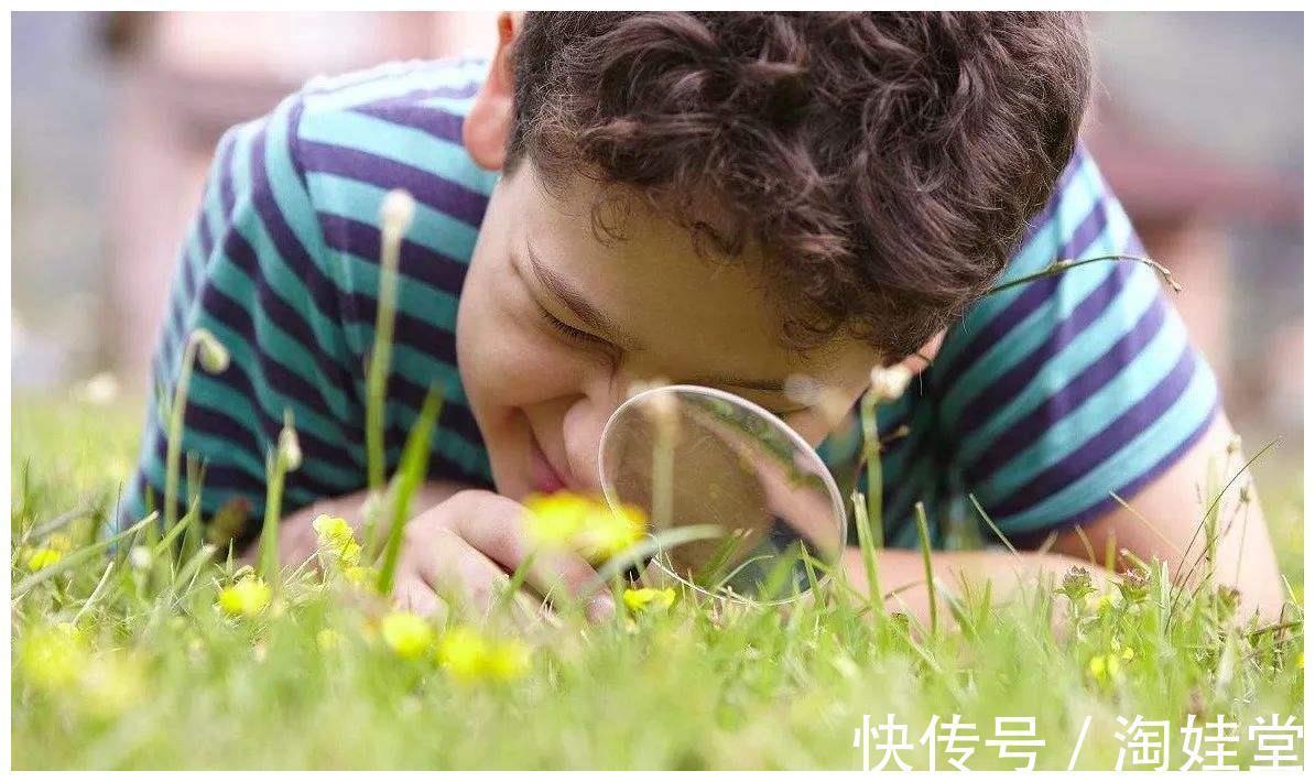 发育|哈佛研究:儿童一生只有3次变聪明的时机,父母别错过了