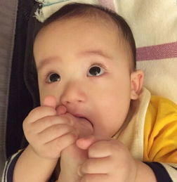 睡眠时间|小宝宝将脚丫放进嘴里,细细品尝之后皱起眉头,表情让人哭笑不得