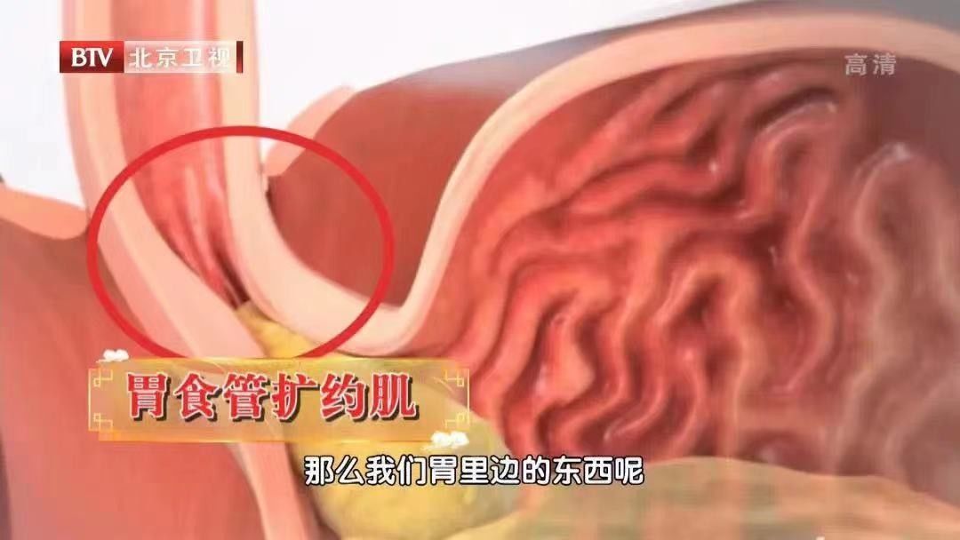 胃病|胃病无小事，一不小心可能拖成癌！有这些迹象要及时就诊