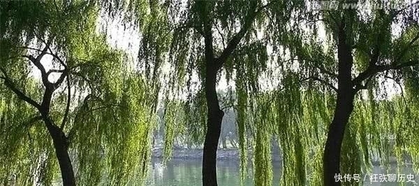 河堤|为何古人建房子,讲究前不栽桑,后不栽柳,左不栽桃,右不栽李