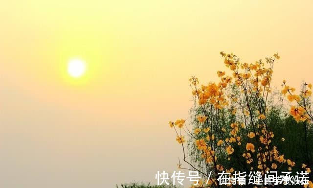 九日次韵王巩|这七个成语难倒多数中国人,你也试试看包不包括你