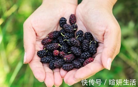 玫瑰茄|女性不想老太快,学会常吃以下食物,水嫩肌肤,更显年轻