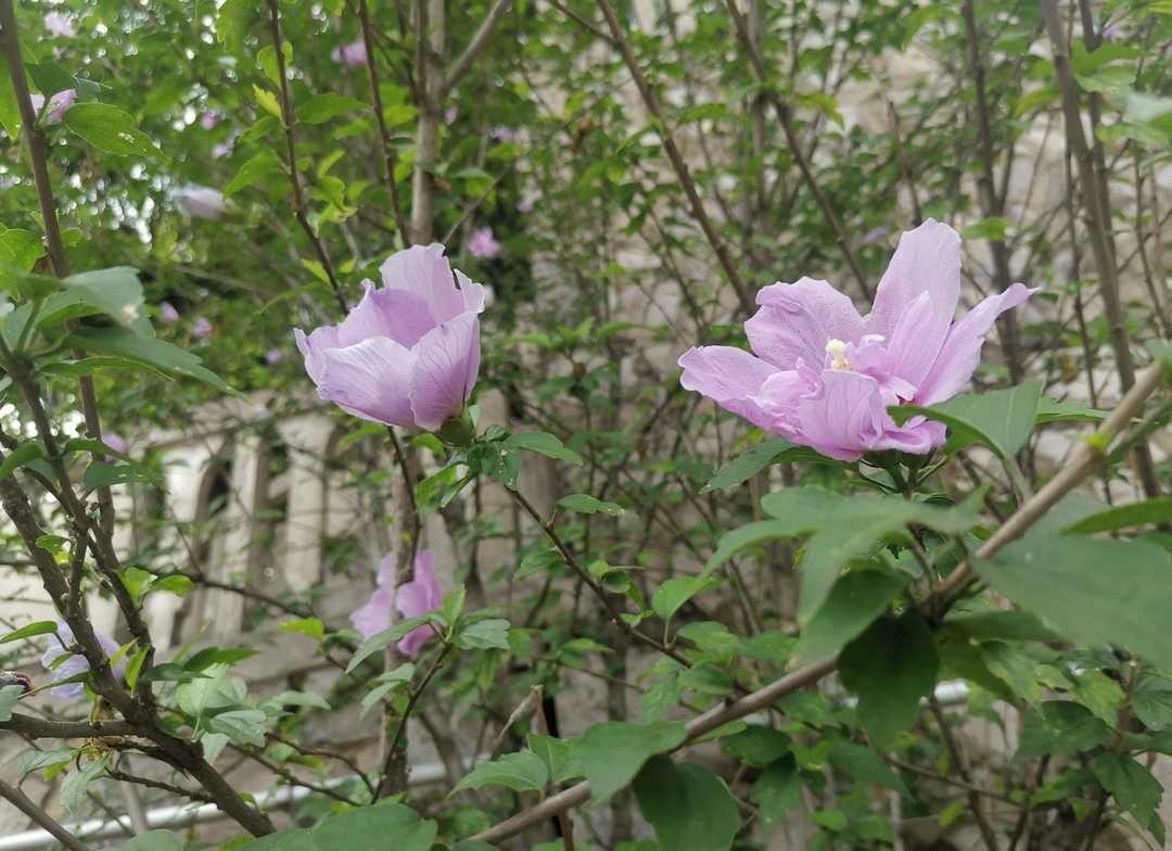 曾国藩:做人低调内敛,交友志趣远大,用劳谦廉约束自己