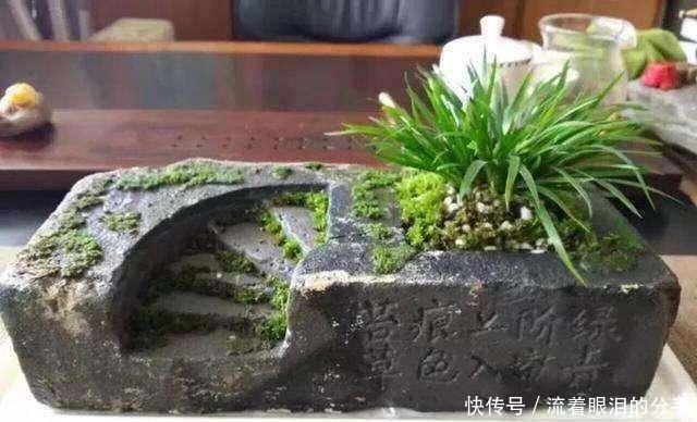 冬天出门“溜一圈”,看到“它们”捡回家,全都是养花宝贝!