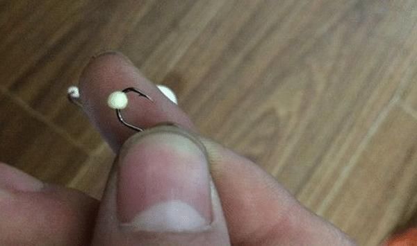 钓鱼必杀技:盘点民间这些用饵“野路子”,大鲫连竿的秘密绝招!