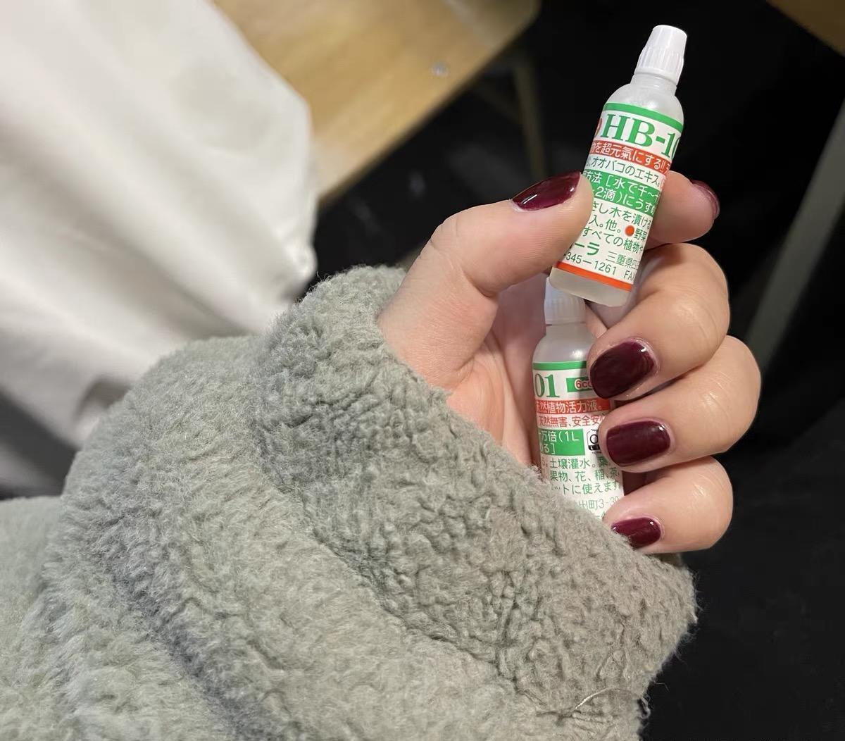 多肉不长根，试试这种“小药水”，滴上两滴，1周长出毛细根