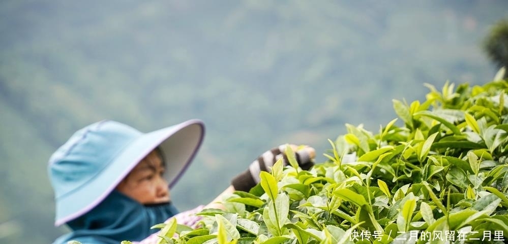 原生态|钦州居然还有这么仙的地方，美如天空之境，是个宜游宜居的好地方