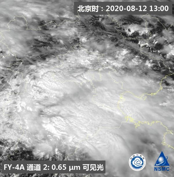 沙塵 “頂流天團(tuán)”，喜添新成員！
