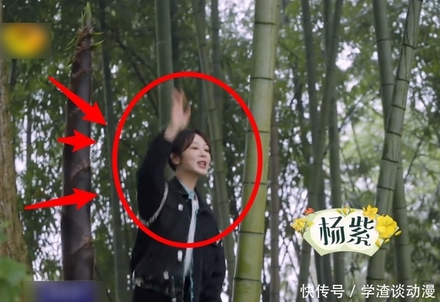 黄磊|杨紫直言是冲着吃饭来录节目的,听到黄磊的回应,整个人都不好受