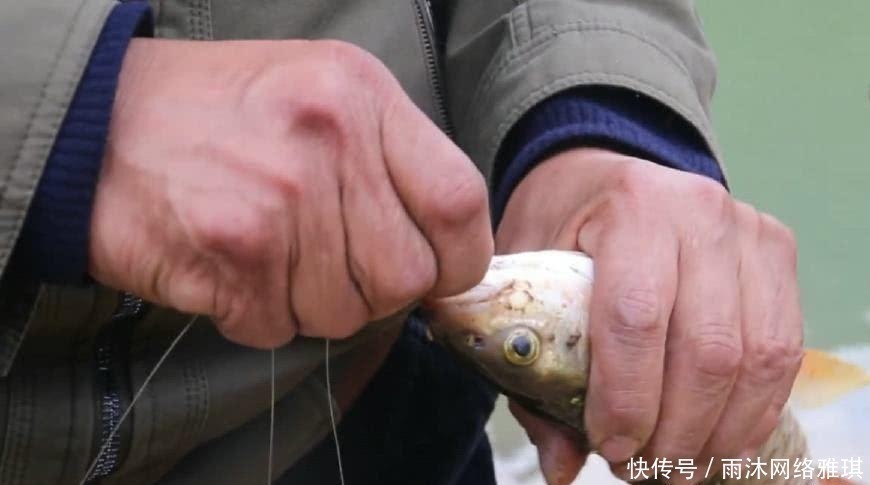 钓鱼|山居老伯钓鱼，竹子做竿，蟑螂做饵，可钓的鱼一百一条
