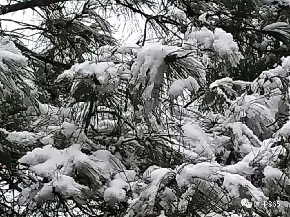 妙高镇金城山雪景图