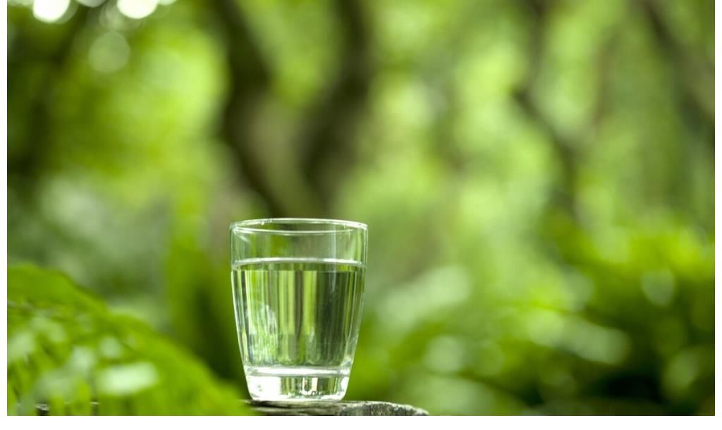 钙质|早晨是养骨最佳时间,医生:常吃3种食物,补充钙质,骨骼更健康