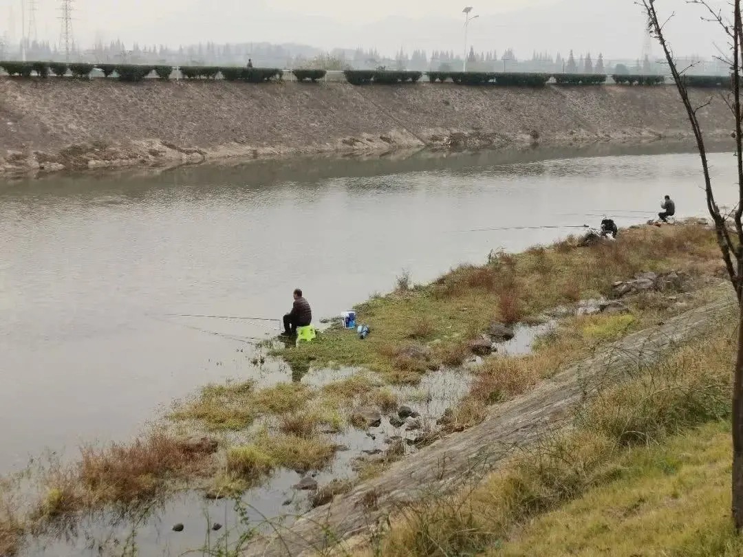 冬天鲫鱼进窝慢，怎么才能让鲫鱼快速进窝？看看我说的这几点