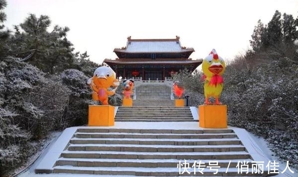 雪景|安丘最美雪景来了，无论航拍还是素颜，简直美透了！