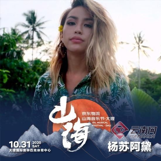 重塑|重塑唐朝低苦艾！首届京东物流山海音乐节·大理 全阵容开票