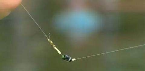 钓鱼大师讲解,浮钓,如何选漂、调漂