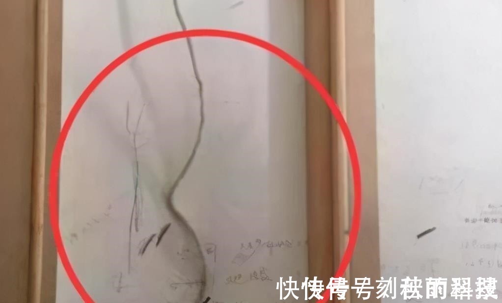 那些事|越来越多人不买精装房了,后悔没听售楼闺蜜劝,入住才一天就想搬