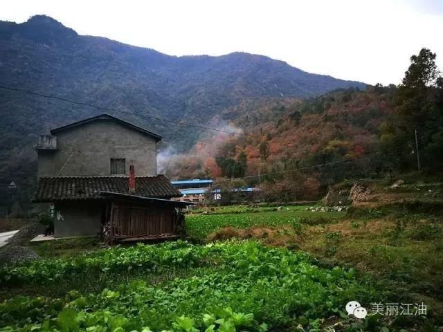 风动|【创建天府旅游名县】色在深秋，风动叶飘零，李白故里美色迷人，要你好看！