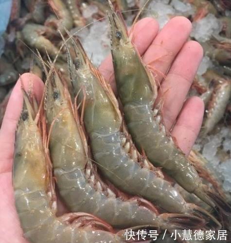 普通朋友|立秋之后,不管有钱没钱,这3种海鲜都要多吃,新鲜美味又便宜!