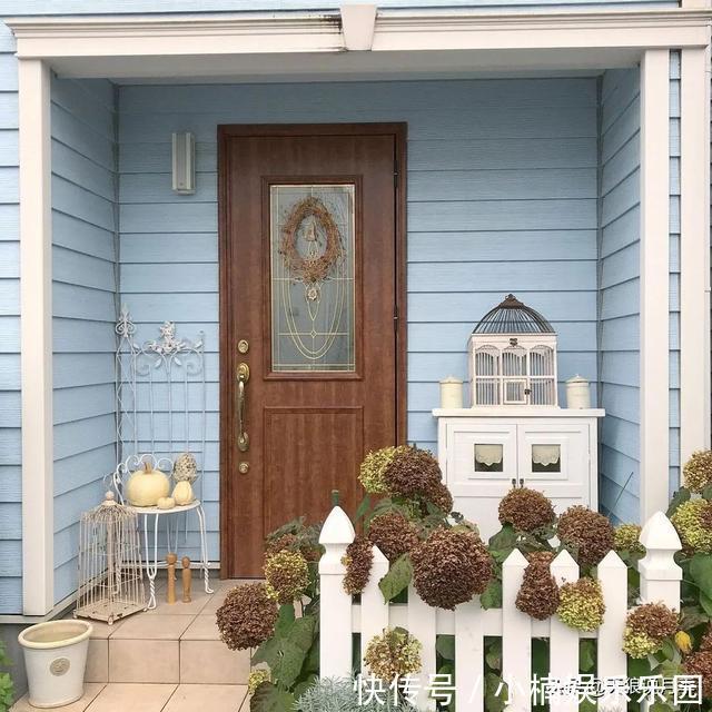 毛地黄|小空间花园打造指南丨四季开花不断,她是怎么做到的?