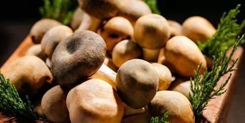 人到中年想长寿，不要错过的食物，排毒清肠，降压减脂，滋养身心