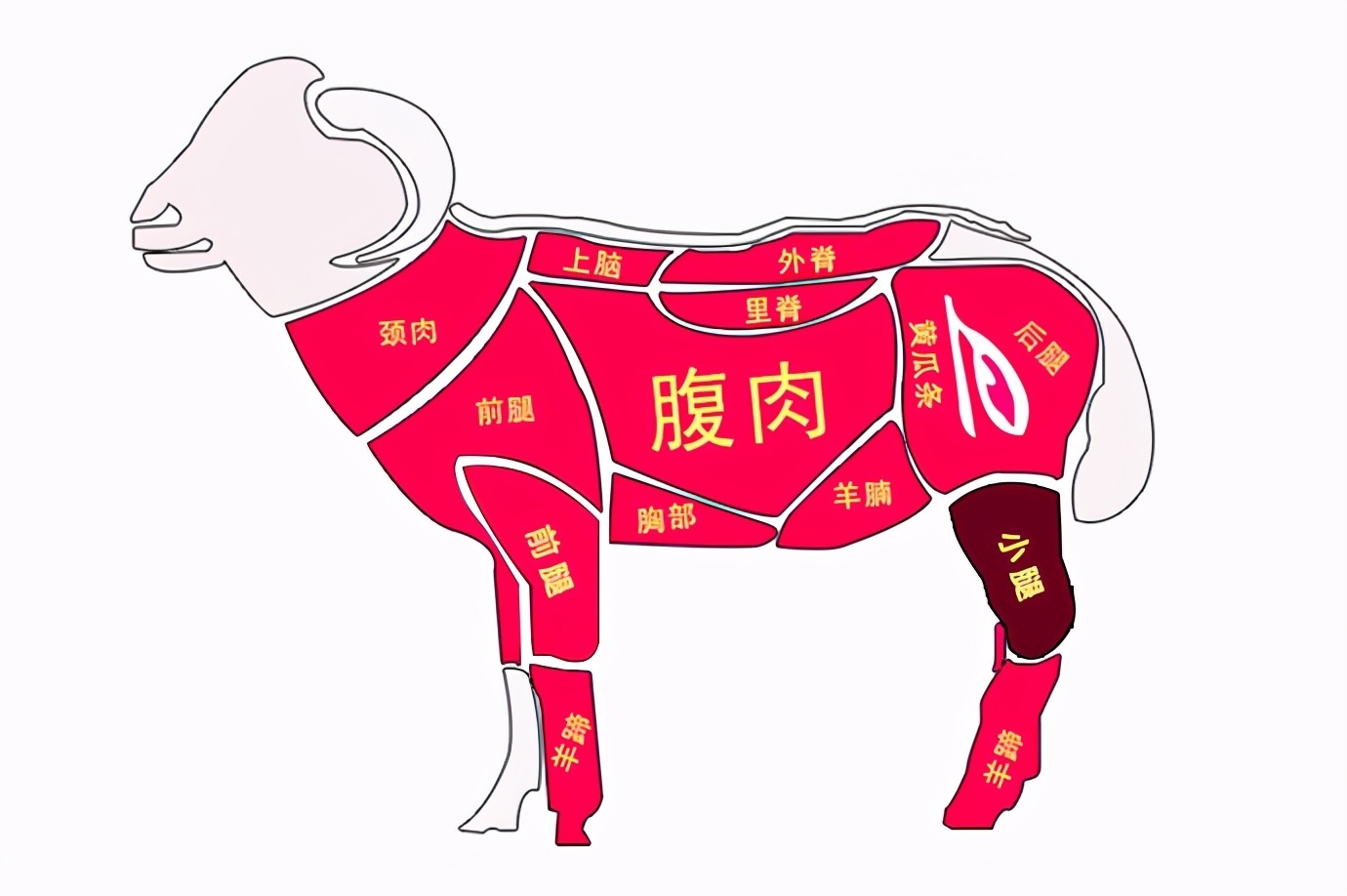 宝妈|买羊肉时，专挑4个部位选，很多人买错，摊主来买的都是行家
