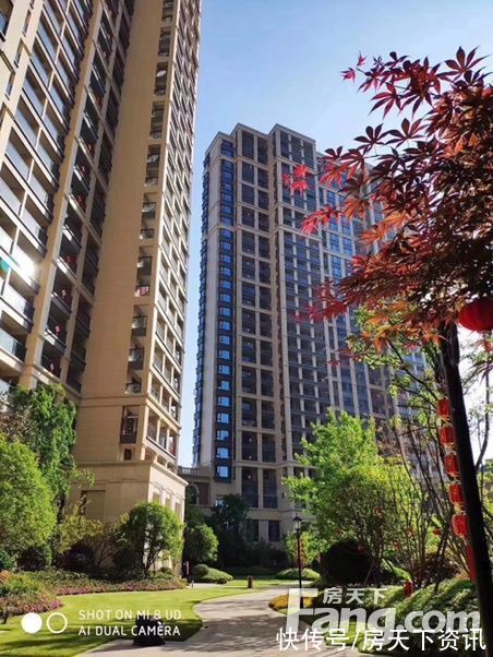 美图|恩施金龙大道高分楼盘的最新现场美图,速来围观