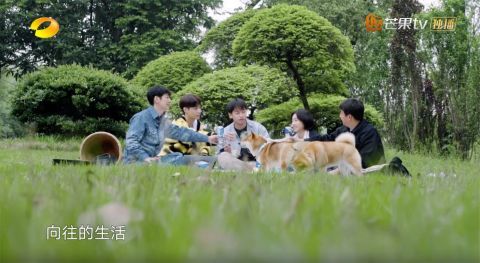 何炅|骂早了！最后三集力挽狂澜，《向往的生活》终于“活”了