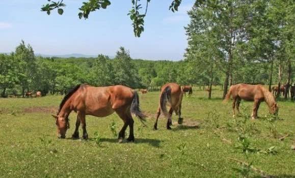 找到|朱元璋老农家避雨,问:你姓啥?老农回答完,老朱:可算找到你了!