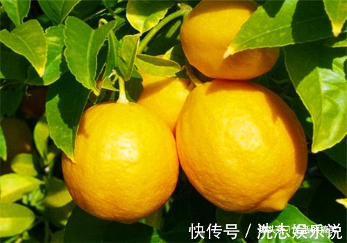 延缓衰老|女性到了中年,推荐常吃以下食物,延缓衰老,早吃早好